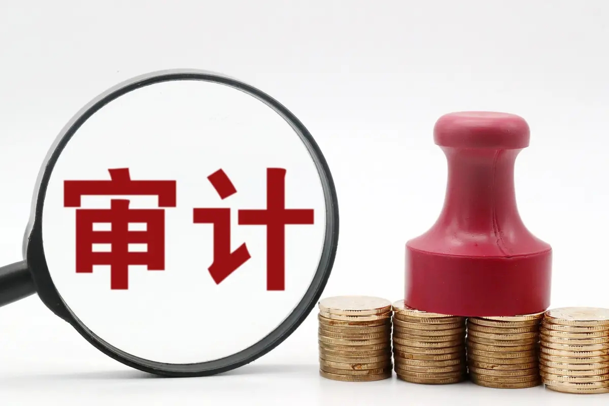 What should a Hong Kong company do when audited?